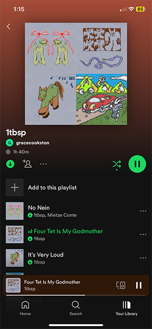 Spotify  screenshot of a playlist